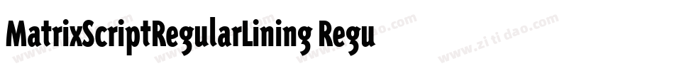 MatrixScriptRegularLining Regular字体转换